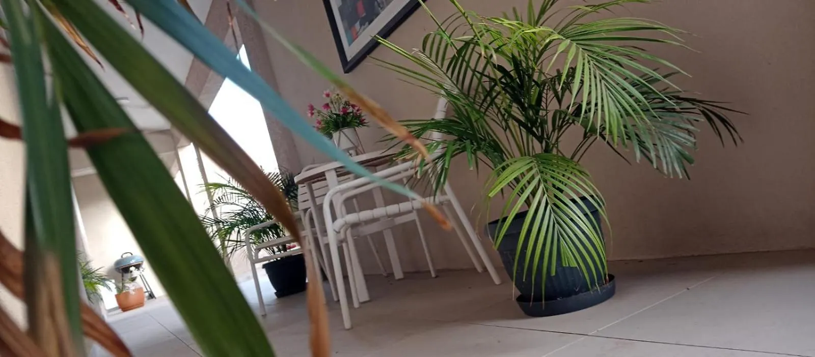 Aruba Villas Noord Guest house